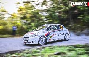 Poster Peugeot 208 Elaborare 178