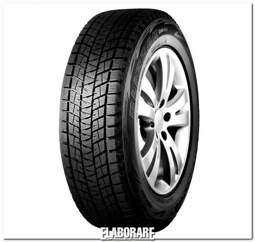 Bridgestone Blizzak DM-V1