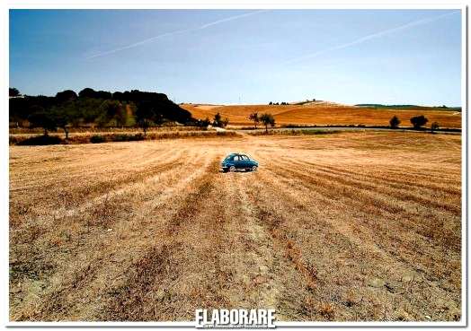 4° Classificato: Daniele Tofanelli con la foto "La solitudine"