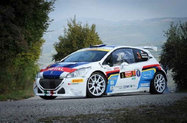 peugeot-208-andreucci-rally-roma-2014