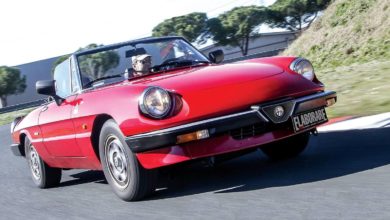 Alfa Romeo Spider Duetto Classic elaborare 259 aprile 2020