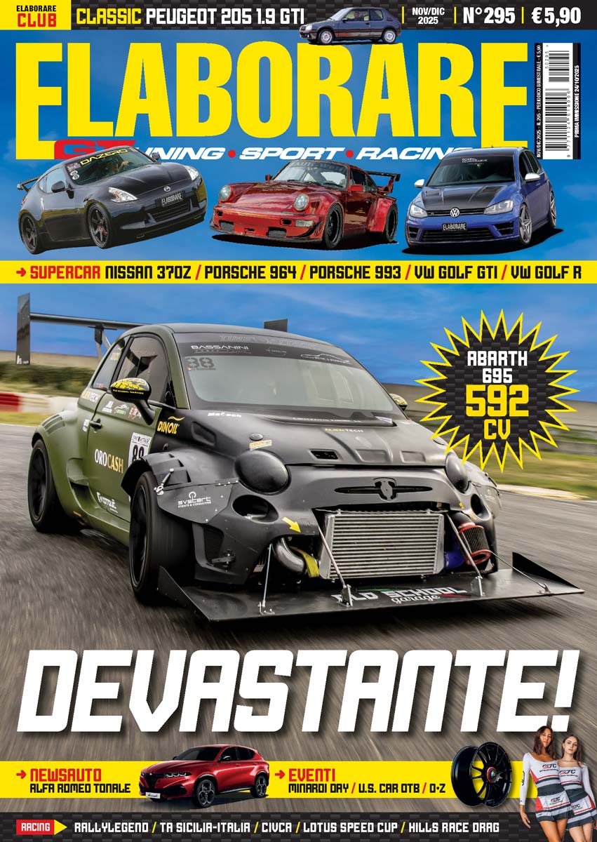 Elaborare 295 - Copertina